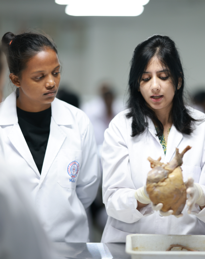 Medical & Health Sciences