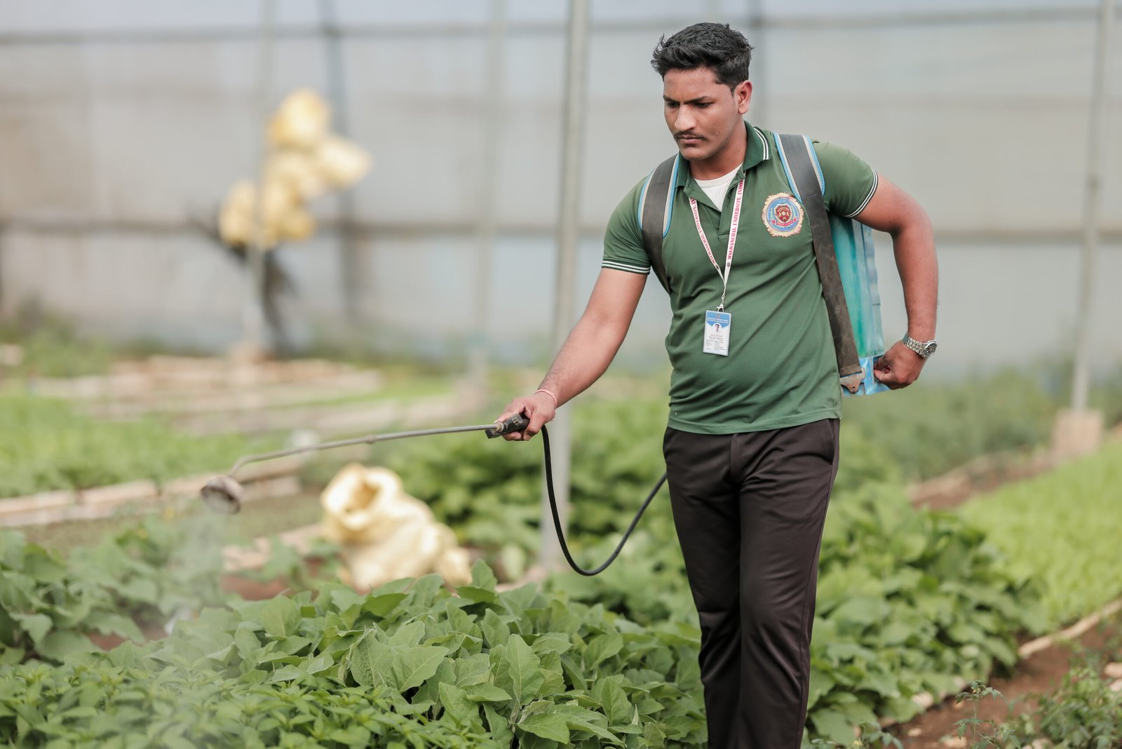Agriculture science students in field study